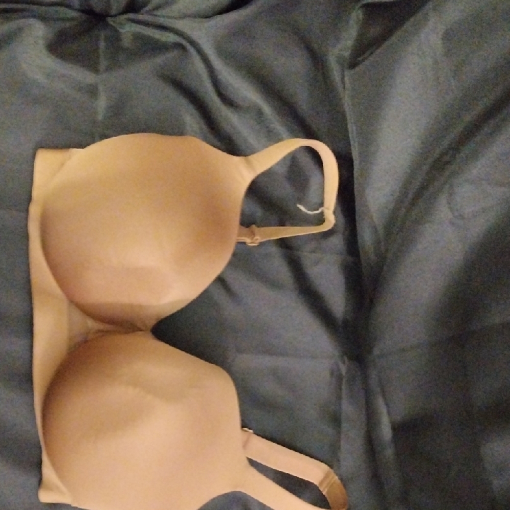 Cacique Tan Seamless T-Shirt Bra